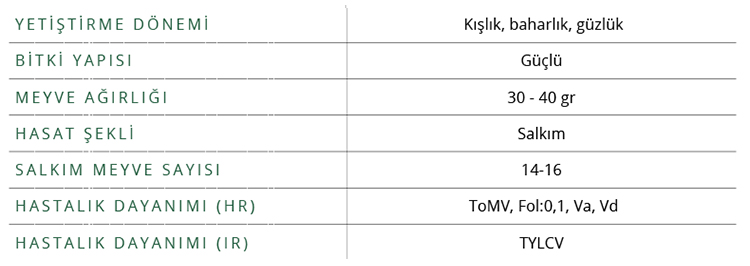 Kokteyl Domates